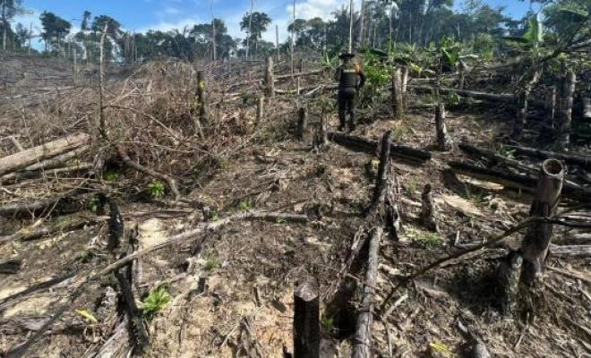 La Procuradora alertó sobre la grave situación socio ambiental de deforestación en el país.